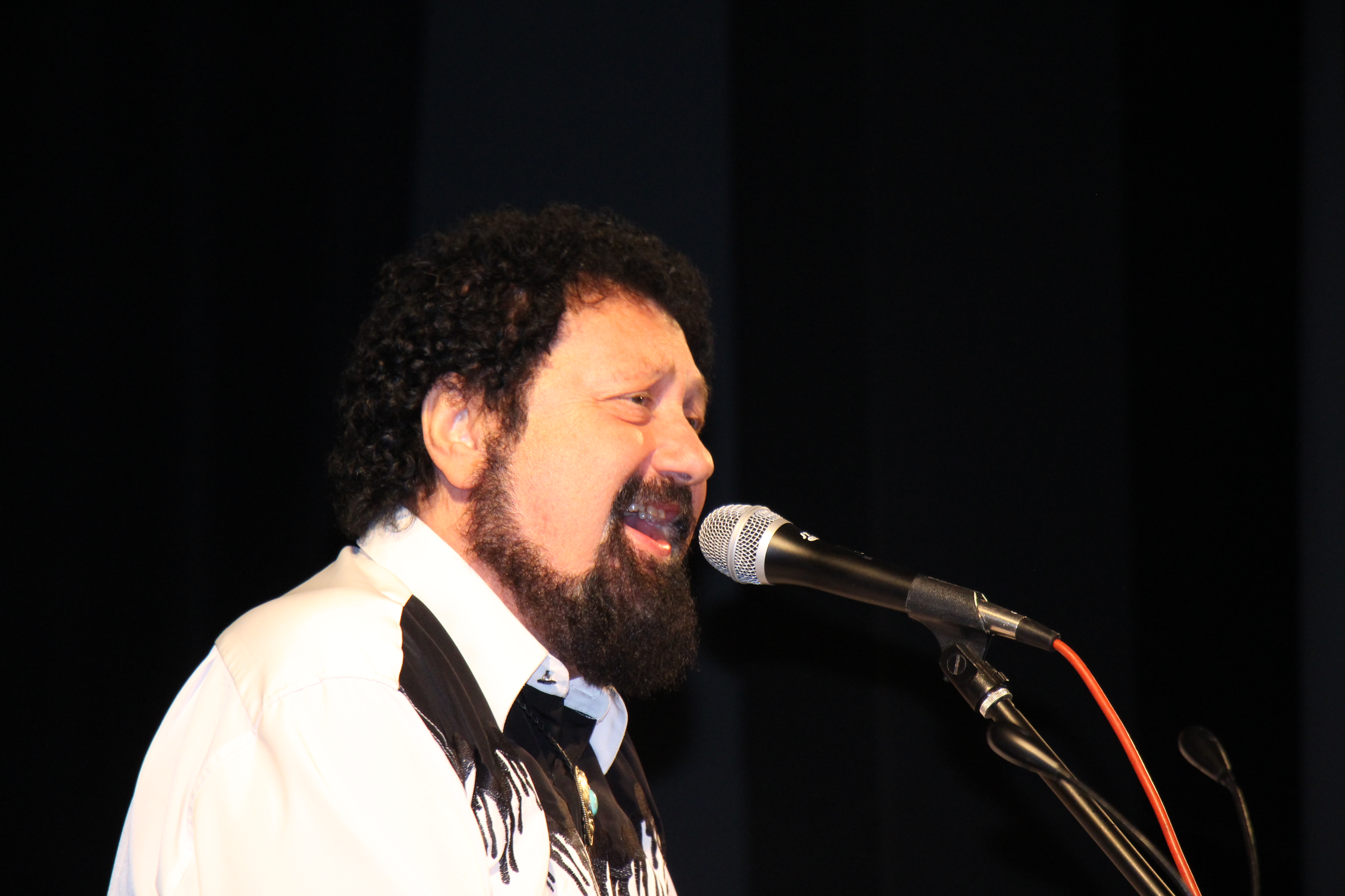 Koncert Walda a Malevil band