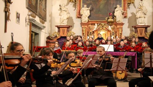 Adventní koncert Archi con Brio + Terénní berušky