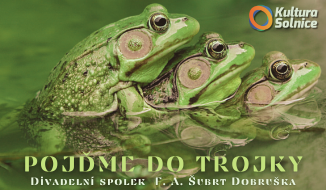 POJĎME DO TROJKY - divadelní komedie